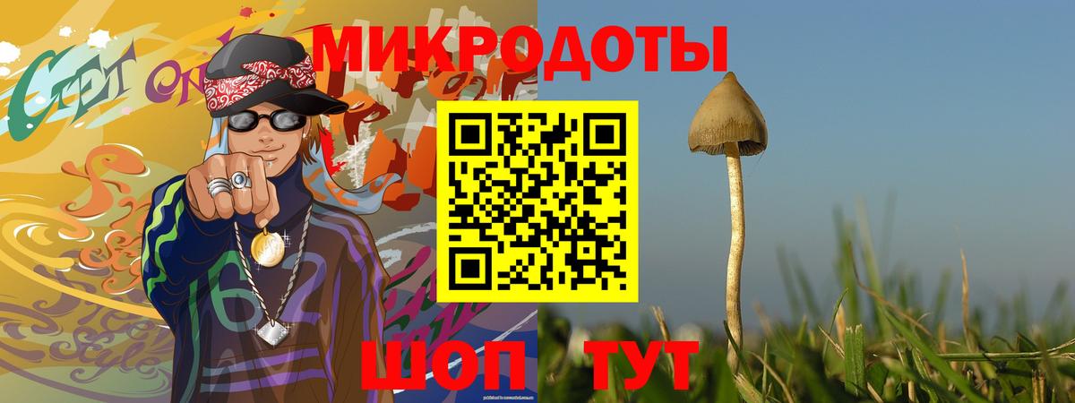 Псилоцибиновые грибы Psilocybe Ефремов