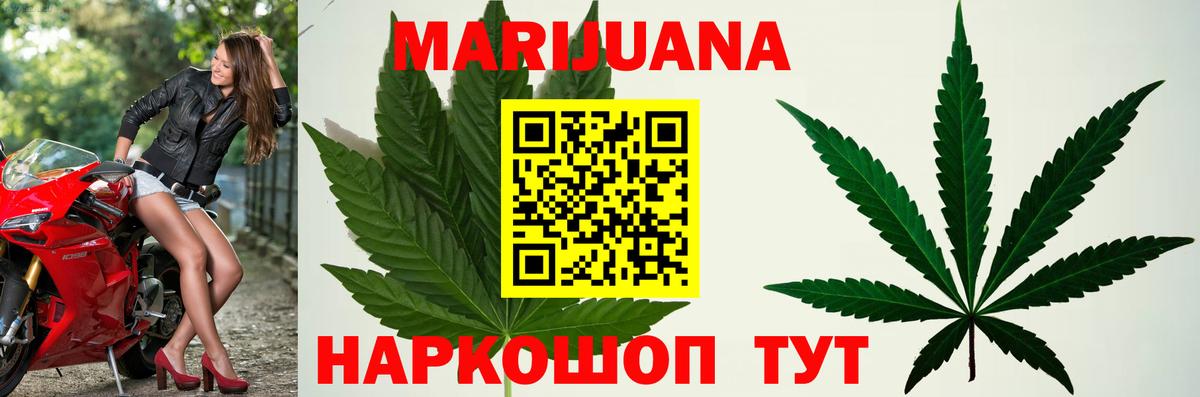 Бошки Шишки семена Ефремов